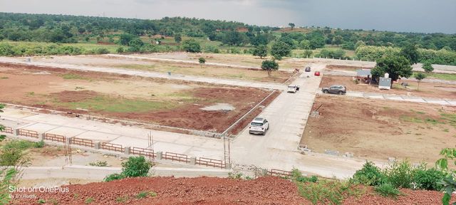 Phase 1 Layout Development Status