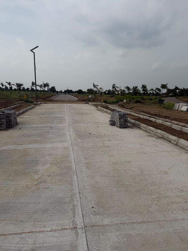 Staged Paver Blocks Along Concrete Avenue