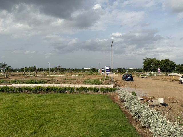 Manicured Lawn Border & Plot Enclaves