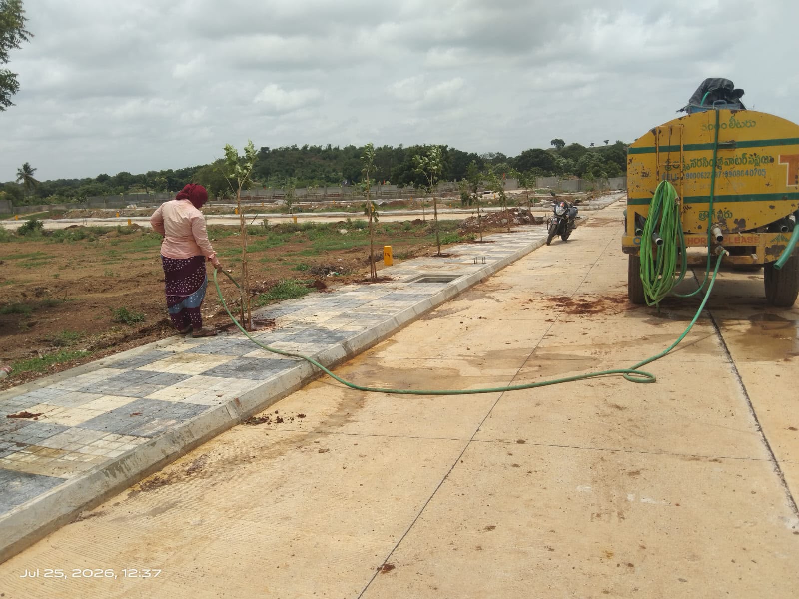 Avenue Plantation & Walkway Landscaping