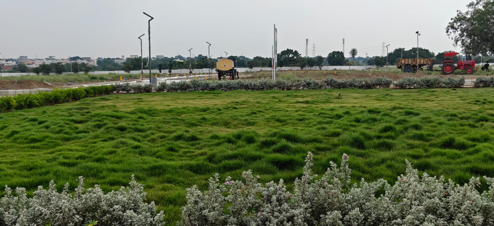 Central Landscaped Park & Tree Avenues