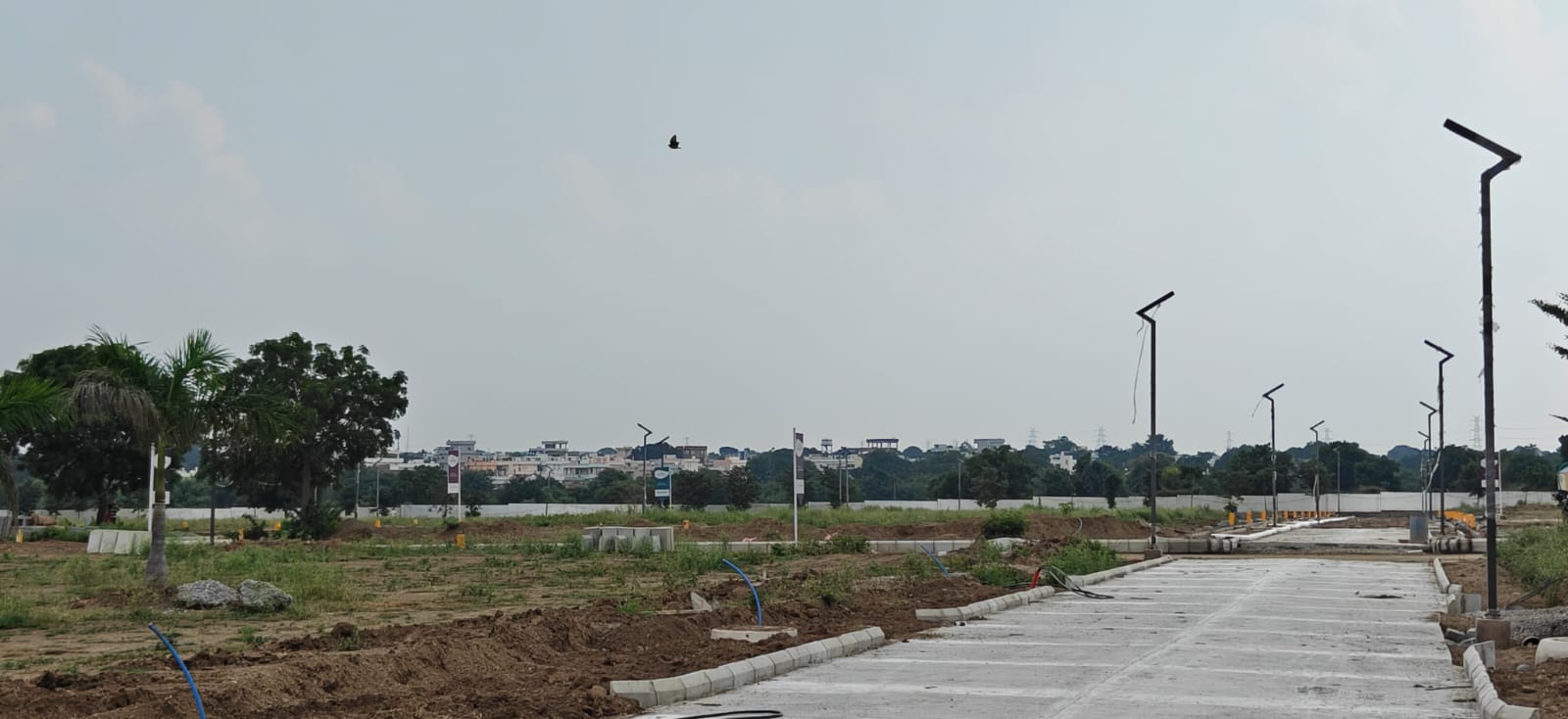 sanctuary wide arterial concrete road plots