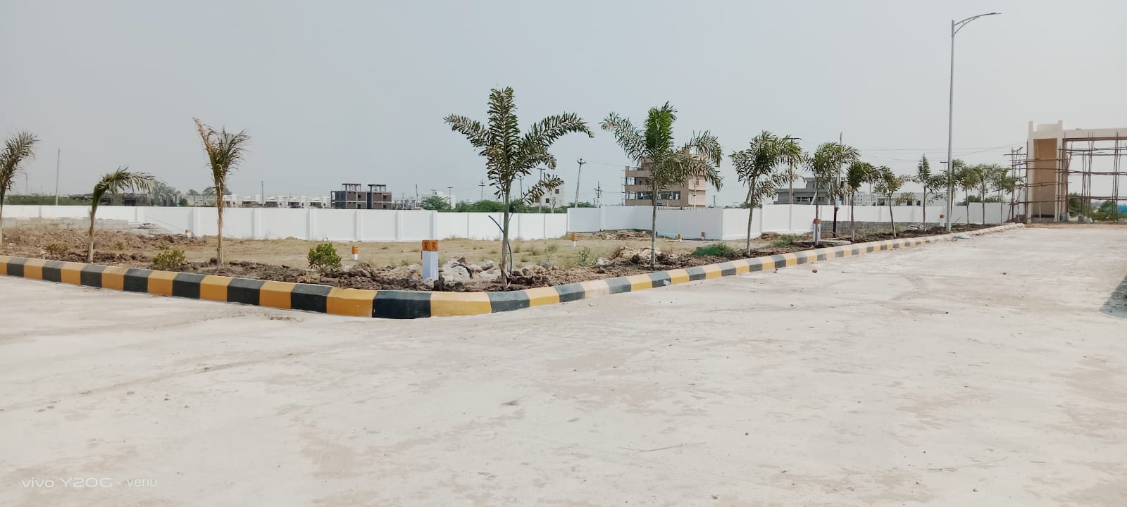 Avenue Palm Plantation & Demarcated Plots